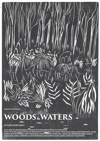 Woods and Waters