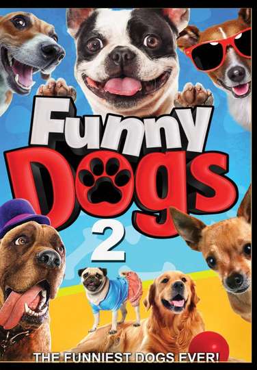 Funny Dogs 2