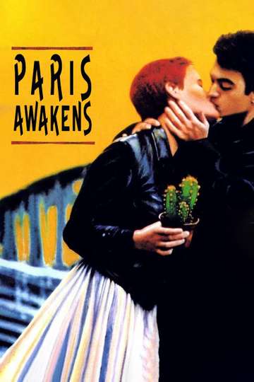 Paris Awakens Poster