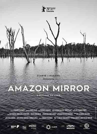 Amazon Mirror