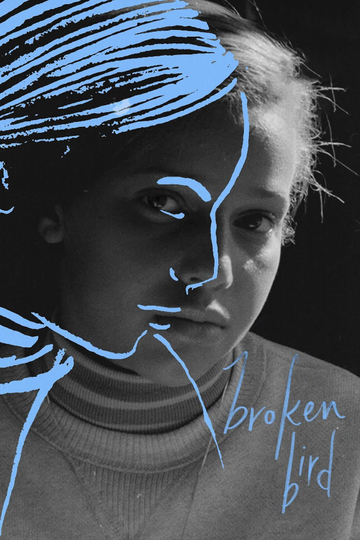 Broken Bird Poster