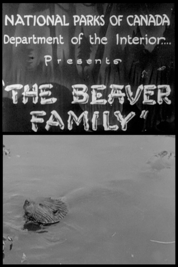 Beaver Family