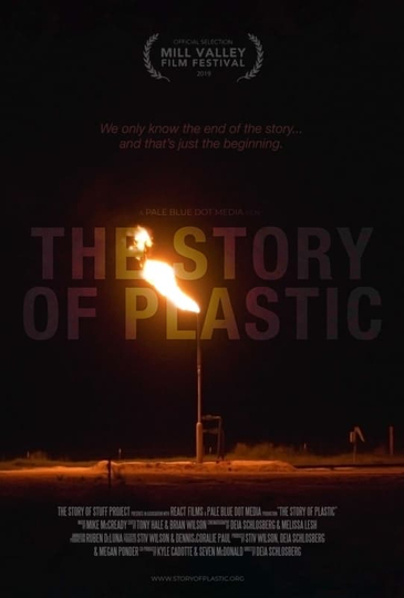 The Story of Plastic Poster