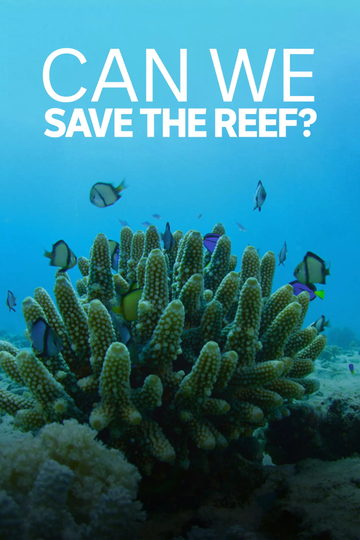 Can We Save the Reef