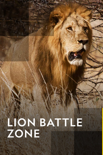 Lion Battle Zone Poster