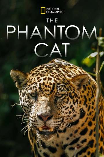 The Phantom Cat Jaguar Poster