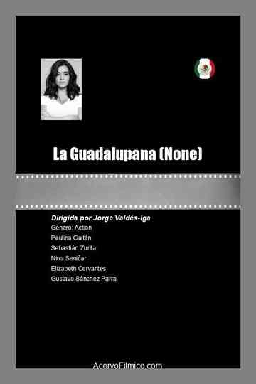 La Guadalupana Poster