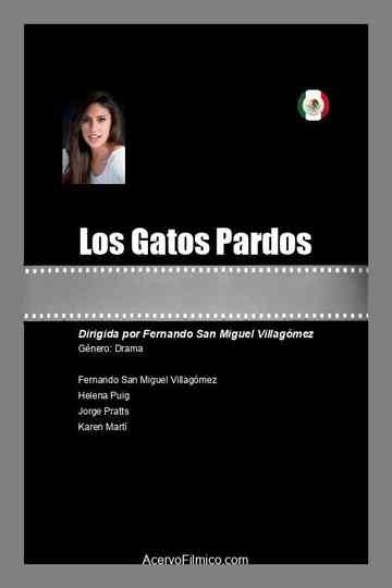 Los Gatos Pardos Poster