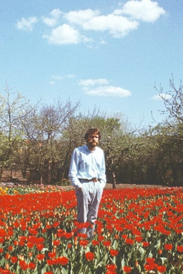 Tulip Field