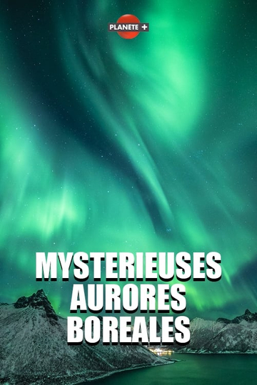 The Wonder of the Northern Lights