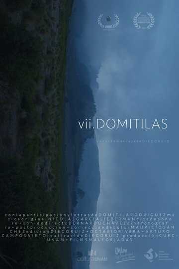 VII Domitilas