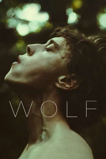 Wolf Poster