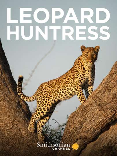 Leopard Huntress Poster