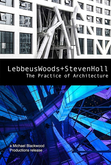 Lebbeus Woods  Steven Holl The Practice of Architecture