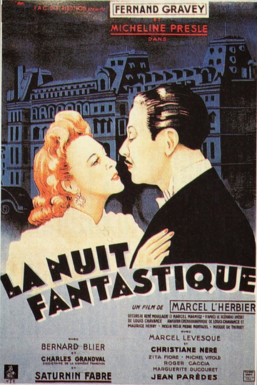 Fantastic Night Poster