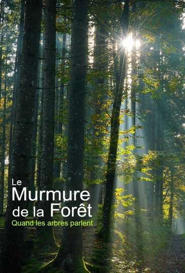 Unsere Wälder: Die Sprache der Bäume Poster