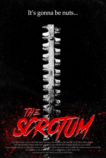 The Scrotum Poster