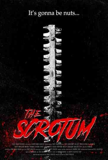 The Scrotum