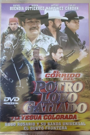 Corrido del potro lobo gatiado y la yegua colorada