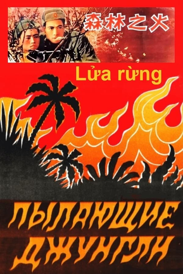 Lửa Rừng