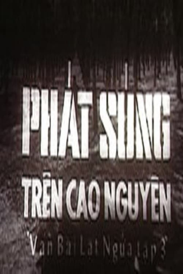 Ván bài lật ngửa: Phát súng trên cao nguyên