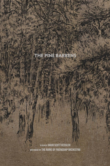 The Pine Barrens