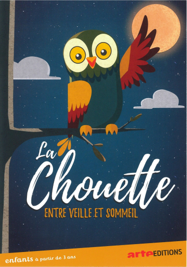 La chouette du cinema entre veille et sommeil