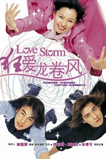 Love Storm Poster