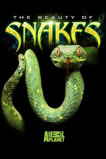 The Beauty of Snakes Poster