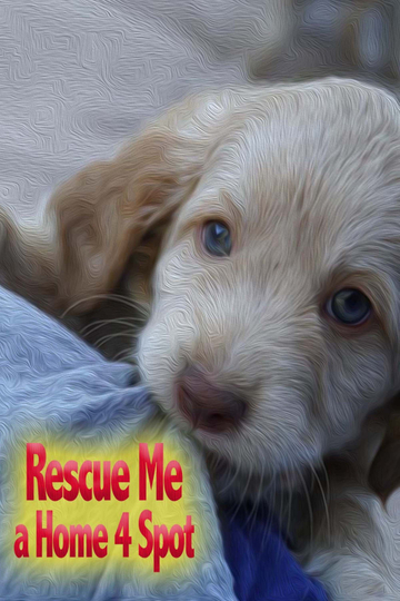 Rescue Me: A Home 4 Spot Poster