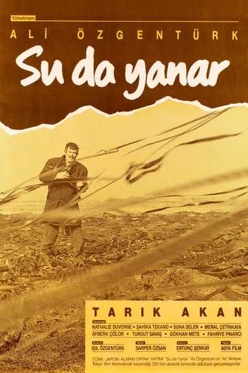 Su da Yanar