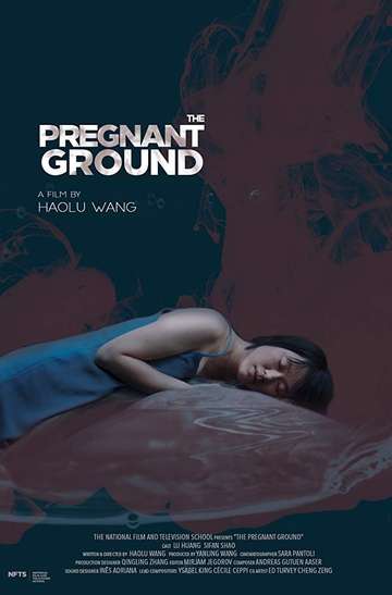 The Pregnant Ground Poster
