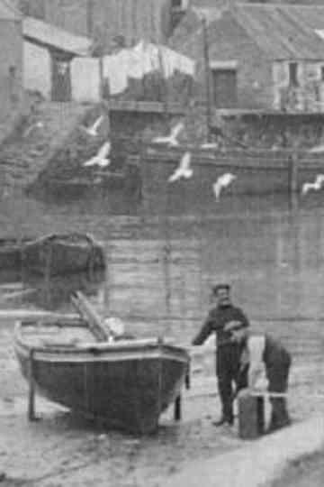 The Cornish Riviera Poster