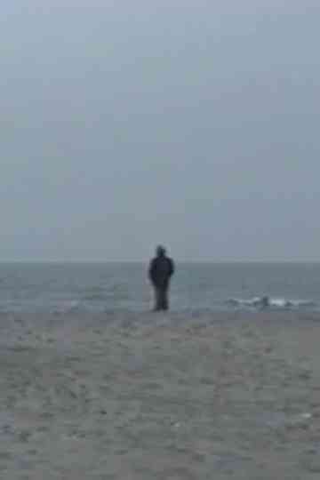 LArbre et le Soleil Poster