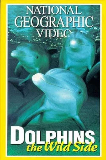 Dolphins The Wild Side