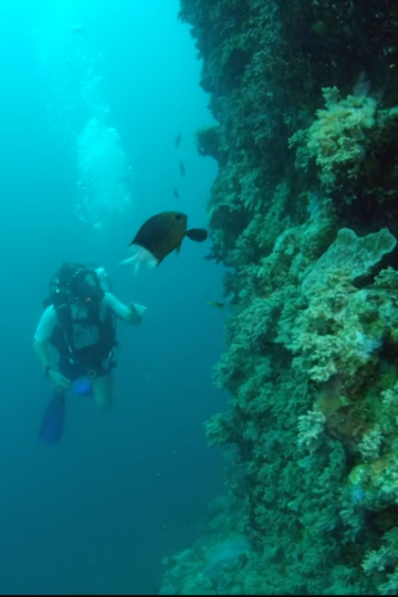 Wonders of the Great Barrier Reef with Iolo Williams Poster