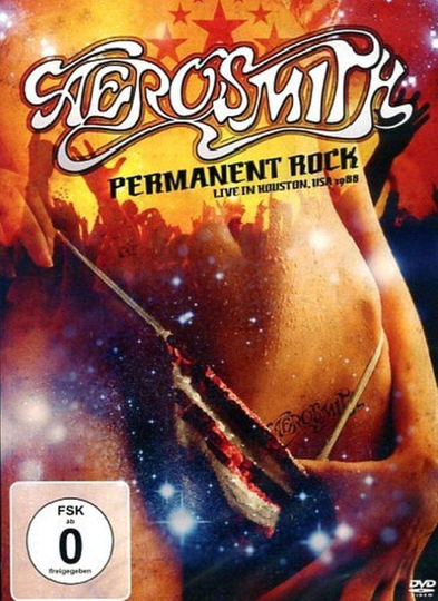 Aerosmith  Permanent Rock  Live in Houston 1988