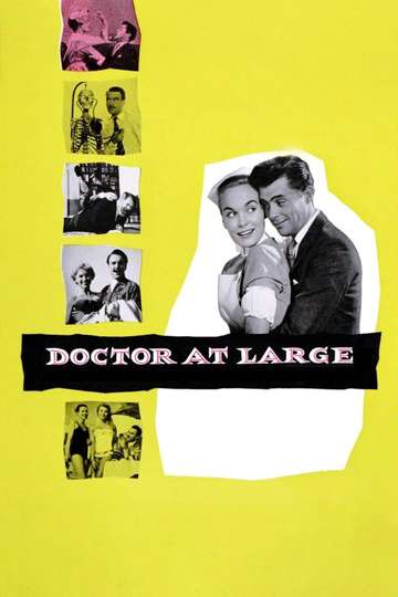 Doctor at Large Poster