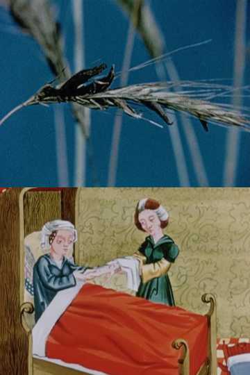 Ergot: The Story of a Parasitic Fungus