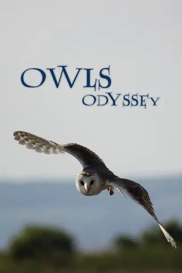 Owls Odyssey Poster