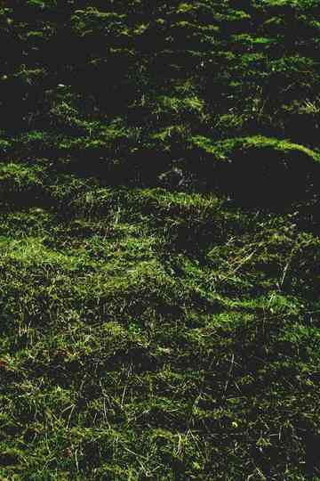 Untitled  Aubrac Poster