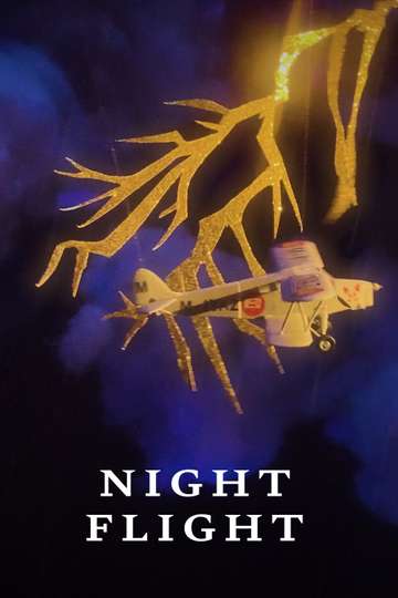 Night Flight Poster