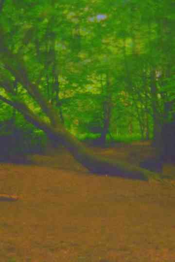 Fuck Tree