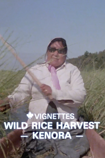 Canada Vignettes Wild Rice Harvest Kenora