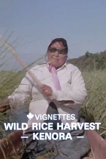 Canada Vignettes Wild Rice Harvest Kenora
