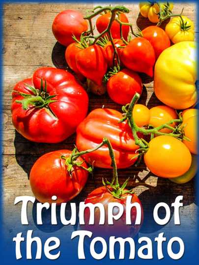 Triumph of the Tomato