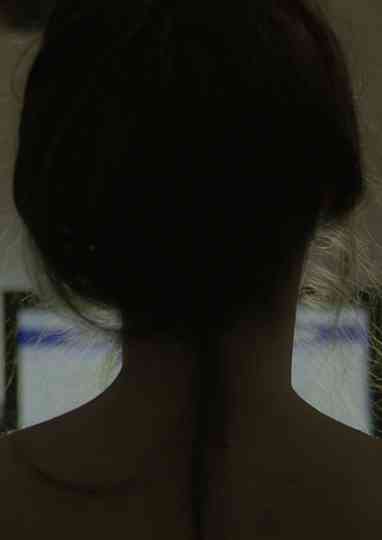 The Last Portrait Poster