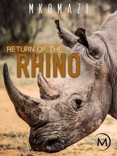 Mkomazi Return of the Rhino
