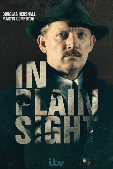 In Plain Sight Poster