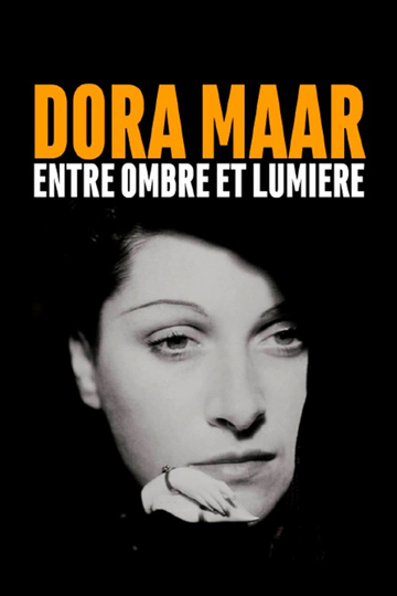 Dora Maar Between Light and Shade Poster